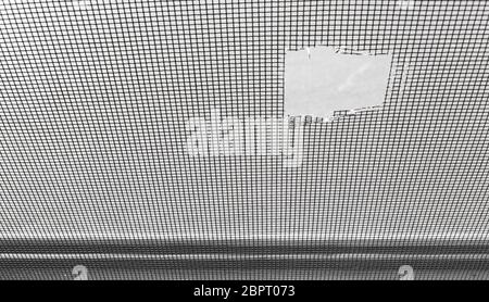 Closeup of a damaged mosquito screen. Stock Photo