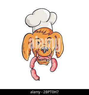 Cartoon style illustration of an Irish Setter dog wearing chef, baker or cook hat biting a sausage string viewed from front on isolated background. Stock Photo