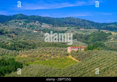 green Tuscan countryside with vineyards, olive groves, woods, farms and town under the blue sky Stock Photo