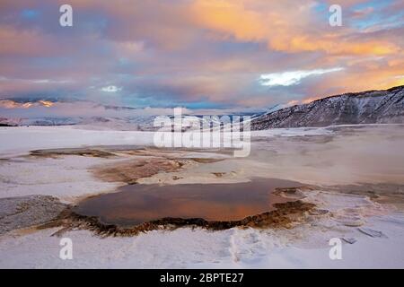WY04466-00....WYOMING - Sunrise reflecting in a hot spring pool on the Main Terrace of Mammoth Hot Springs in Yellowstone National Park. Stock Photo