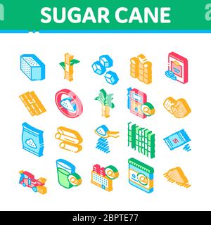 Sugar Cane Agriculture Isometric Icons Set Vector Stock Vector