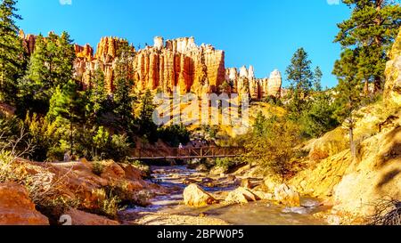 Water of the Tropic Ditch flowing through the vermilion colored Pinnacles and Hoodoos at the Mossy Cave trail in Bryce Canyon National Park, Utah Stock Photo