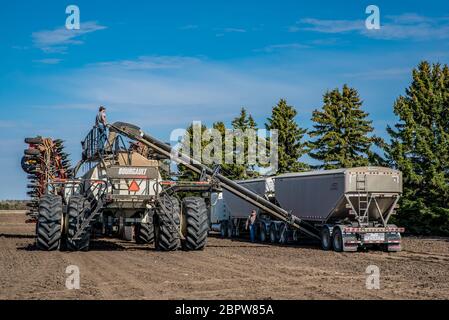 Swift Current, SK/Canada- May 15, 2020: Farmers loading seed and fertilizer from the Super B into the Bourgault air drill for seeding in Saskatchewan, Stock Photo