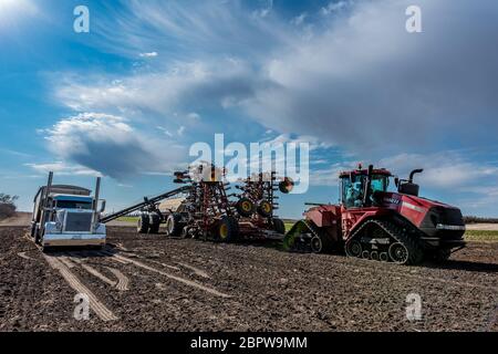 Swift Current, SK/Canada- May 15, 2020: Loading seed and fertilizer from the Super B into the Bourgault air drill for seeding in Saskatchewan, Canada Stock Photo