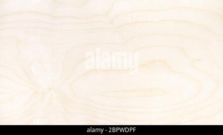 panoramic wooden background - surface of natural birch plywood Stock Photo