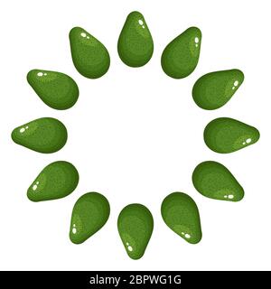 Wreath from green whole avocado with space for text. Cartoon organic sweet food. Summer fruits for healthy lifestyle. Vector illustration for any desi Stock Vector
