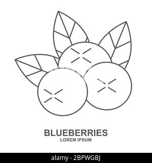 Blueberry flat line icon, forest berry sign, healthy food logo isolated on white background. Summer fruits for healthy lifestyle. Organic fruit. Vecto Stock Vector