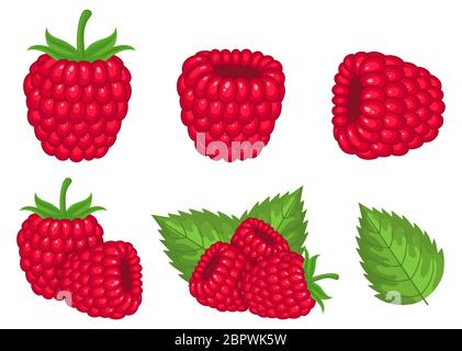 Set of fresh bright exotic raspberries isolated on white background. Summer fruits for healthy lifestyle. Organic fruit. Cartoon style. Vector illustr Stock Vector