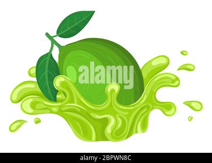 Fresh bright lime juice splash burst isolated on white background. Summer fruit juice. Cartoon style. Vector illustration for any design. Stock Vector