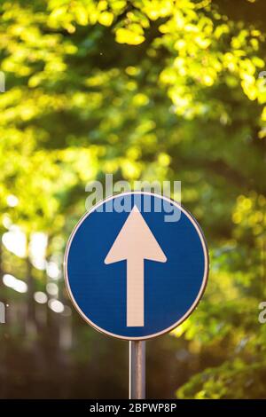 Road direction sign with up arrow. Arrow up. Blue sign with white arrow. In the background, green leaves appear on the branches of some trees. Stock Photo