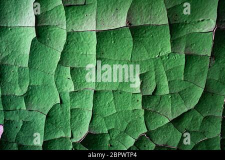 Old green concrete wall with cracked pieces of paint, background Stock Photo