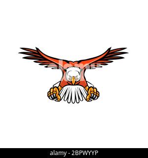 Mascot icon illustration of a bald eagle, sea eagle or American eagle swooping down with talons facing viewed from front on isolated background in ret Stock Photo