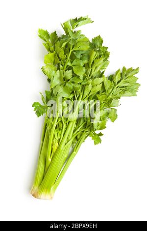 Bunch of fresh celery stalk isolated on white background. Stock Photo