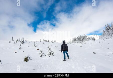 a man stand facing the mountain on a path cover with snow in paradise area,scenic view of mt Rainier National park,Washington,USA.. Stock Photo