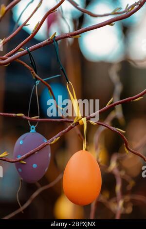 Hanging Easter eggs on tree with soft focus bokeh and color toned. Spring easter concept background. Stock Photo