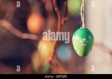 Hanging Easter eggs on tree with soft focus bokeh and color toned. Spring easter concept background. Stock Photo