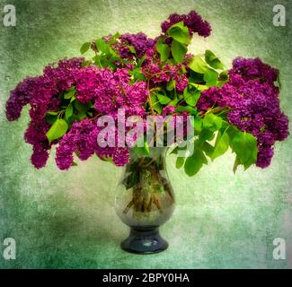 Bouquet of lilacs in a vase under the lights against a textured background Stock Photo