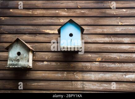 wooden bird boxes or birdhouses on a wooden wall, background texture close-up Stock Photo