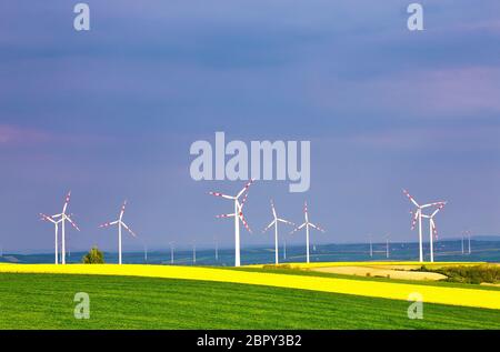 Spring yellow colza fields with wind power generators. Wind turbines park generating electricity. Green environment. Lower Austria near Poysdorf. Stock Photo