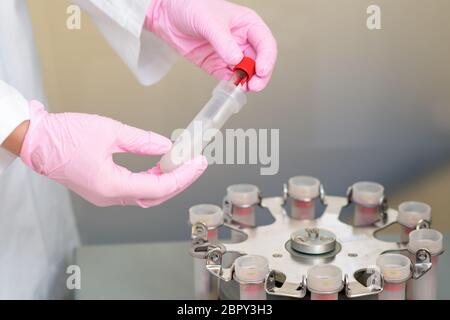 Close up of hand of nurse or doctor putting test tube with blood in flask at the laboratory. Stock Photo