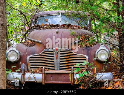 Buick Eight in Woods Stock Photo