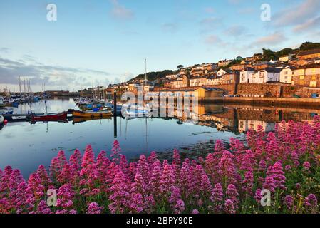 Newlyn Harbour during summer with Valerian flowers growing along the waterfront Stock Photo