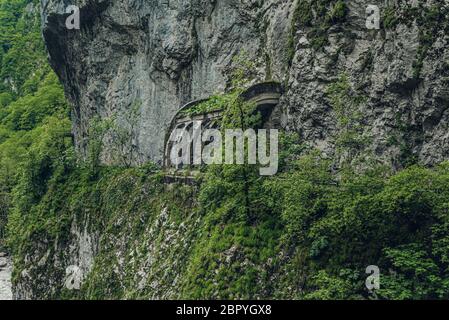 old tunnel overgrown with grass summer mountains Stock Photo