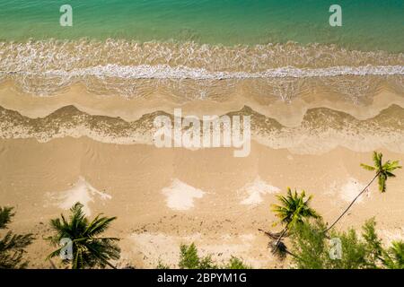 Top down aerial view of a beautiful, empty tropical sandy beach surrounded by palm trees Stock Photo