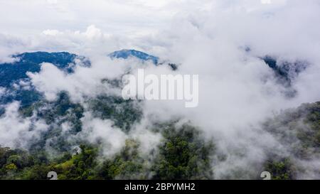 Aerial drone view of mist and clouds rising above a dense, pristine tropical rainforest following a thunder storm Stock Photo