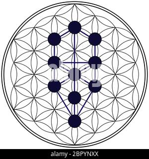 geometry kabbalah tree of life alchemy jewish hebrew numerology spiritual illustration Stock Photo