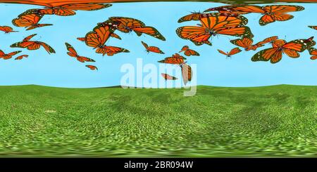 hdri map with butterflies and green grass Stock Photo