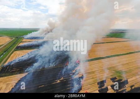 Burning straw in the fields of wheat after harvesting. The pollution of the atmosphere with smoke. Stock Photo