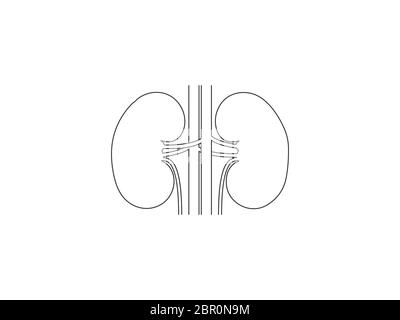 Kidneys, medical, organ icon. Vector illustration, flat design. Stock Vector