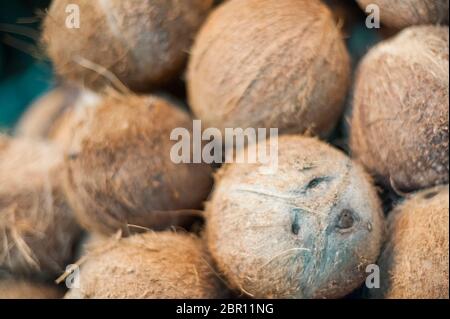 Coconuts on sale at a market. Siem Reap, Cambodia, Southeast Asia Stock Photo
