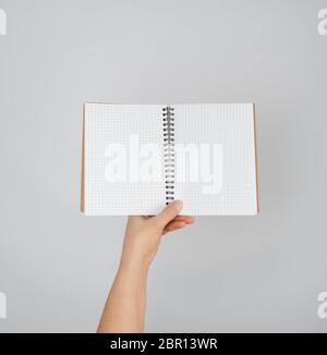 female hand holds open  notepad into a cell on gray background, copy space Stock Photo