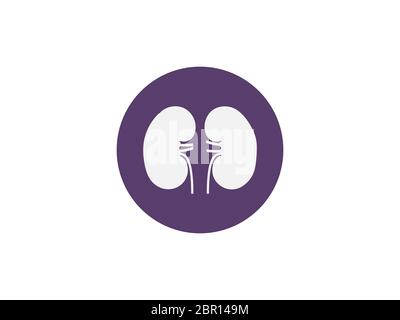 Kidneys, medical, organ icon. Vector illustration, flat design. Stock Vector