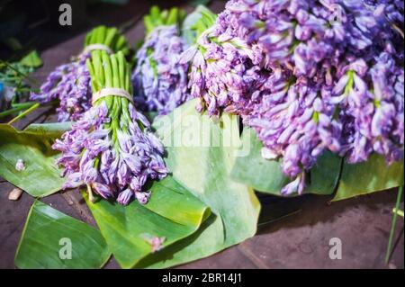 Water Hyacinth flowers being prepared for sale at a market. Siem Reap, Cambodia, Southeast Asia Stock Photo