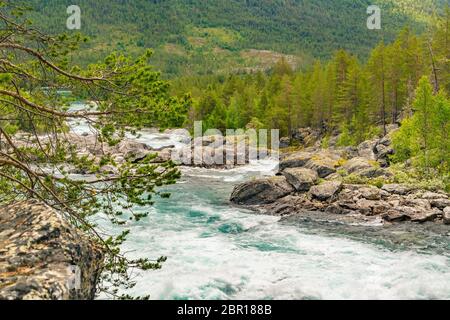 Mountain wild river valley landscape. Mountain river flowing through the green forest. Panoramic view of the mountain river. Raging mountain river in Stock Photo