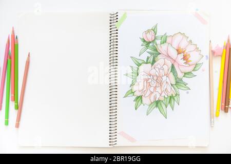 sketch drawing with colored pencils. flowers peonies. Candles, gifts, tea and white background Stock Photo