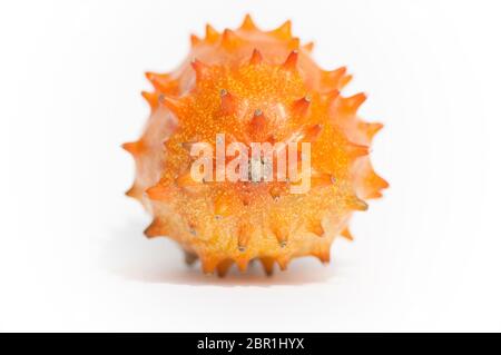 front view of a kiwano shot in the studio Stock Photo