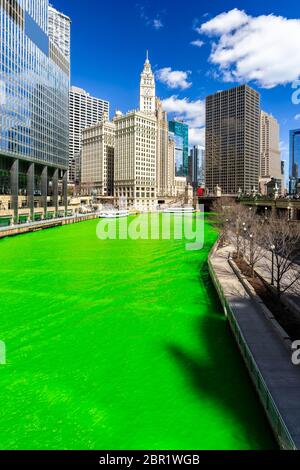 Chicago Skylines building along green dyeing river of Chicago River on St. Patrick's day festival in Chicago Downtown IL USA Stock Photo