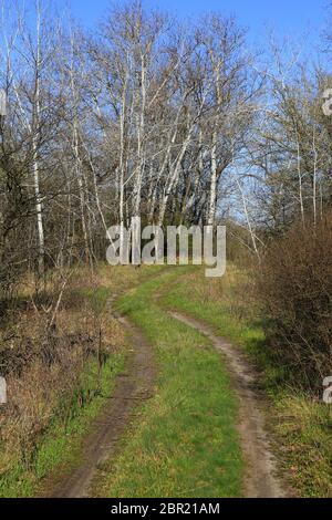 Landscape with earth rut in spring time Stock Photo - Alamy