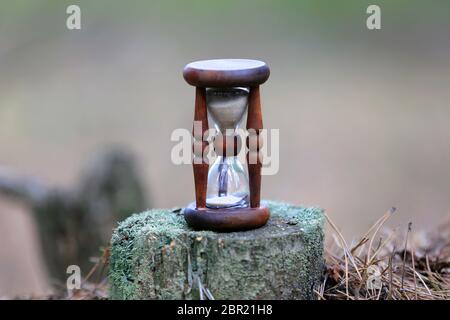 old hourglass on dry wooden stump with moss in forest Stock Photo