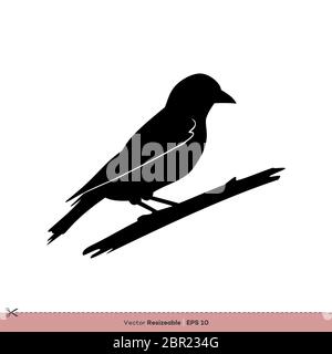 Sparrow - Bird Silhouette Vector Logo Template Illustration Design Stock Photo