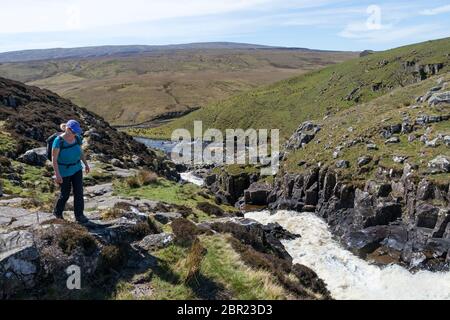 Walker on the Pennine Way at Cauldron Snout, Upper Teesdale, County Durham, UK Stock Photo