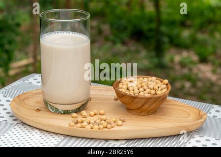 Soybean milk or Soy milk in a glass and soy beans in wooden bowl on wooden tray Stock Photo