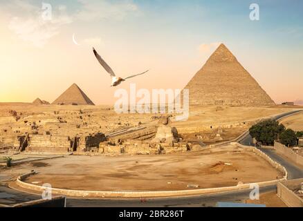 Pyramids of Giza and the Great Sphinx, Egypt Stock Photo