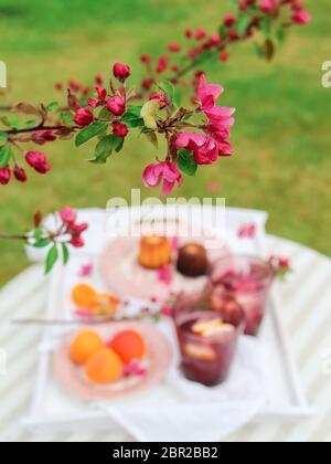 Close up shot of a blooming crab apple tree branch and table setting blurred in the background Stock Photo