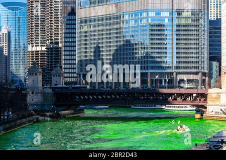 Chicago Skylines building along green dyeing river of Chicago River on St. Patrick's day festival in Chicago Downtown IL USA Stock Photo