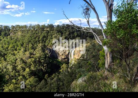 Scenic view of the lower fall at the Ebor Falls in Guy Fawkes River, northern NSW, Australia Stock Photo